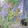 Madrice e dintorni B (107) (Copia)